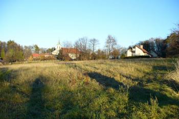 Pohled na bývalou západní frontu zaniklého panského dvora od jihozápadu ( © Petra Němcová 11/2006)