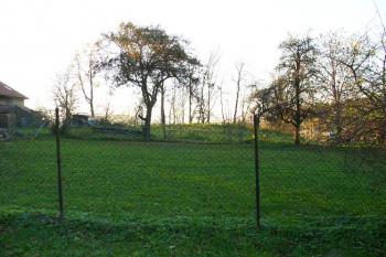 Pohled na střed areálu zaniklého dvora od východu ( © Petra Němcová 11/2006)