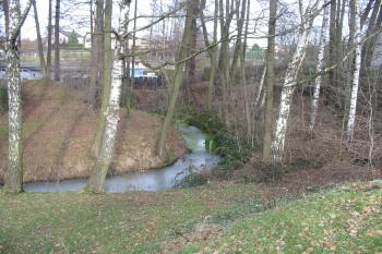 vodní příkop na východě (© D Dohňanský, 01/2015)