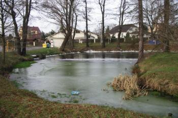 příkop s jezírkem na jz. (© D Dohňanský, 01/2015)