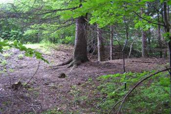 Pohled od západu na jihozápadní bastion (© Jan P. Štěpánek 2005)