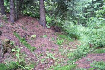 Severozápadní nároží areálu šancí (© Jan P. Štěpánek 2005)