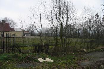 pozůstatk parkové části jz. od zámku (© D Dohňanský, 04/2016)