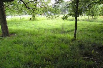 Pohled od severu na centrální plochu hřbitova a kostela (© Jan P. Štěpánek 2005)