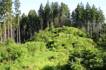 Pohled od severozápadu přes přírodní příkop na zadní část lokality ( © Jan P. Štěpánek 06/2005)