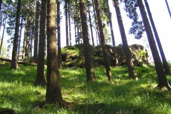 Skalisko ukončující lokalitu na severozápadě. ( © Jan P. Štěpánek 06/2005)