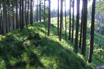 Zadní, hlavní část lokality - pohled od jihovýchodu ( © Jan P. Štěpánek 06/2005)