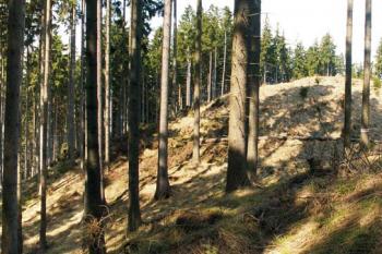 Celkový pohled na hřeben mohutnější části lokality ( © Miroslav BITTER 03/2005)