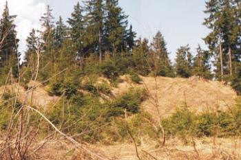 Celkový pohled na méně mohutnou část lokality oddělenou od mohutnější části výrazným zářezem. ( © Miroslav BITTER 03/2005)