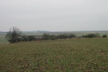 pohled od sv. (© D Dohňanský, 03/2016)