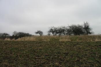 pohled na jádro od jihu (© D Dohňanský, 03/2016)