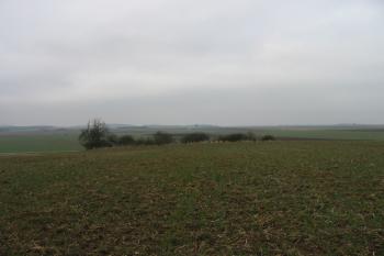 panoramatický pohled na tvrz od sv. (© D Dohňanský, 03/2016)