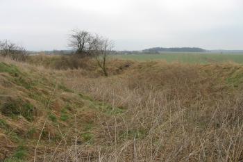 jižní příkop, vzadu rakouský Luden (© D Dohňanský, 03/2016)