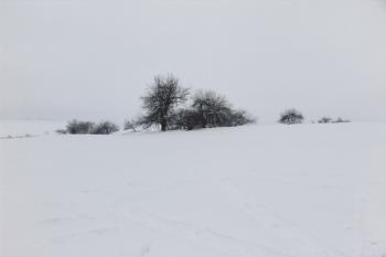 Pohled od východu na místo tvrze ( © Roman Řezáč 01/2006)