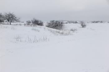 Jihozápadní část tvrziště ( © Roman Řezáč 01/2006)
