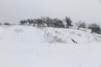 Pahorek jádra od jihu ( © Roman Řezáč 01/2006)