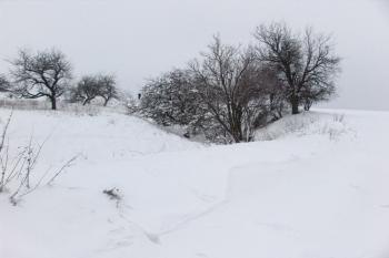 Příkop na východní straně ( © Roman Řezáč 01/2006)