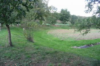 krásně znatelný val  pravděpodobného tvrziště, vedoucí od jihu přes celou západní stranu na sever (© D Dohňanský, 09/2017)