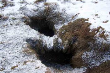 Propadlé klenby sklepení (© Vladimír Studecký 12/2005)