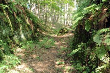 Hradní příkop (© Karel Doležal, 10/2011)