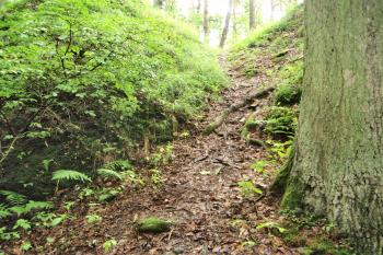 Vstup do hradu (© Karel Doležal, 10/2011)