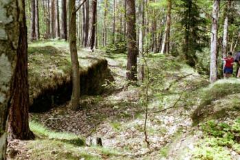 Zbytky hradu (©2003 Jiří Čížek)