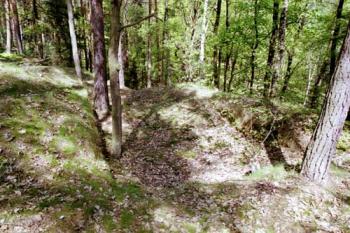  (©2003 Jiří Čížek)