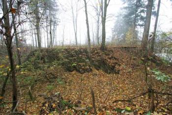 Tvrziště od východu ( © Filip Matoušek 11/2005)