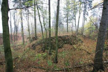 Celkový pohled na tvrziště ze svahu pod hospodářským dvorem ( © Filip Matoušek 11/2005)