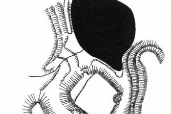  ( © J. Úlovec  (Encyklopedie českých tvrzí, II. díl, LIBRI 2000))