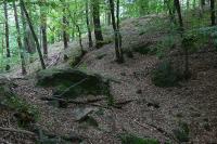 Doubravčice