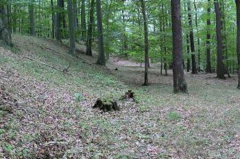 Halštatský val ( © Petr Turyna 09/2006)