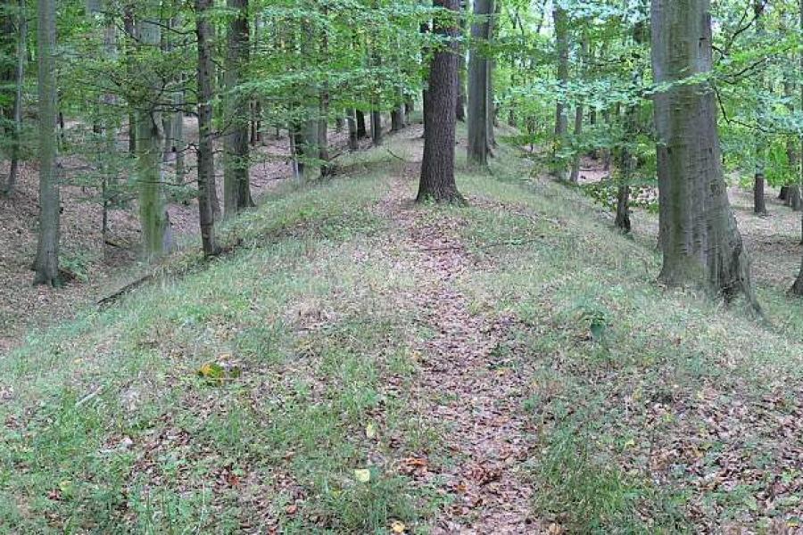Doubravčice