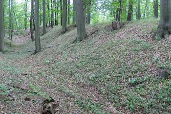 Halštatský val a příkop ( © Petr Turyna 09/2006)