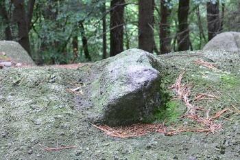 Zajímavě opracovaný (?) kámen v centrální části hradiště ( © Petr Turyna 09/2006)