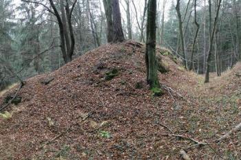 Tvrziště od severovýchodu ( © Filip Matoušek 11/2005)