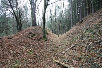 Průhled čelním příkopem, vlevo valovitý útvar v čele tvrziště ( © Filip Matoušek 11/2005)