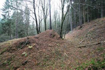 Severní nároží tvrziště ( © Filip Matoušek 11/2005)