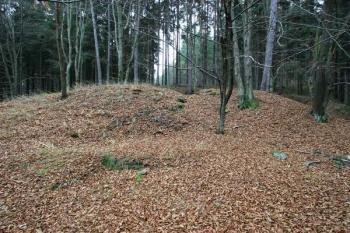 Valovitý relikt v čele tvrziště ( © Filip Matoušek 11/2005)