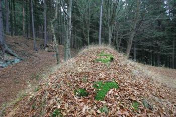 Čelní val tvrziště ( © Filip Matoušek 11/2005)