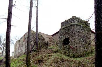 Zbytky zdí tvrze (© 2002 Vlky, Jiří Čížek)