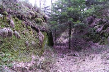 Průhled příkopem ( © Filip Matoušek 04/2003)