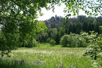  Adršpašské skály (© Luděk Vláčil, 06/2013)