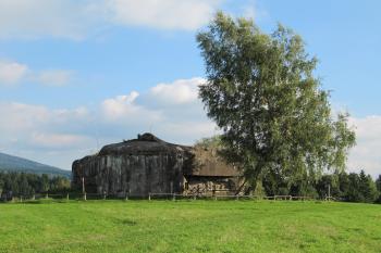 srub od cesty (© Rodochrozit, 09/2010)