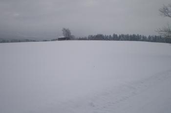 Zasněžený Jaroslav z přístupové cesty..... (© Marek Reimann, 01/2016)
