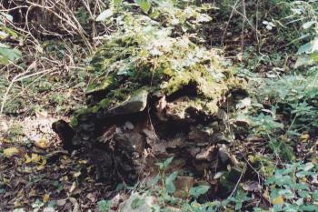 Blok zdiva zámku sesunutý v hradním příkopu (© Lukáš Pechánek, 10/2004)