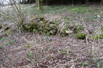 Malé zbytky zdiva v místech původní tvrze ( © Filip Matoušek 03/2002)