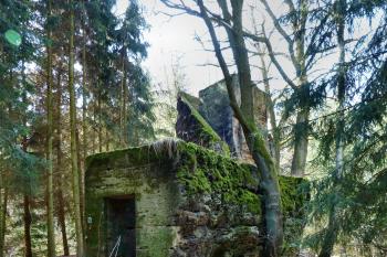  (© František Kinař, 04/2016)