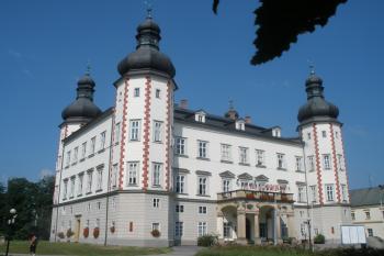  (© Jiří Suchomel, 07/2010)