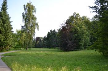 Partie ze zámeckého parku (© Daniel Šmidrkal, 07/2012)
